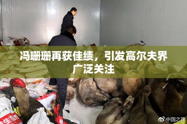 冯珊珊再获佳绩，引发高尔夫界广泛关注