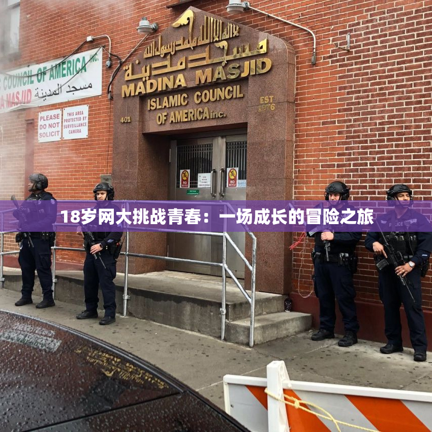 18岁网大挑战青春：一场成长的冒险之旅