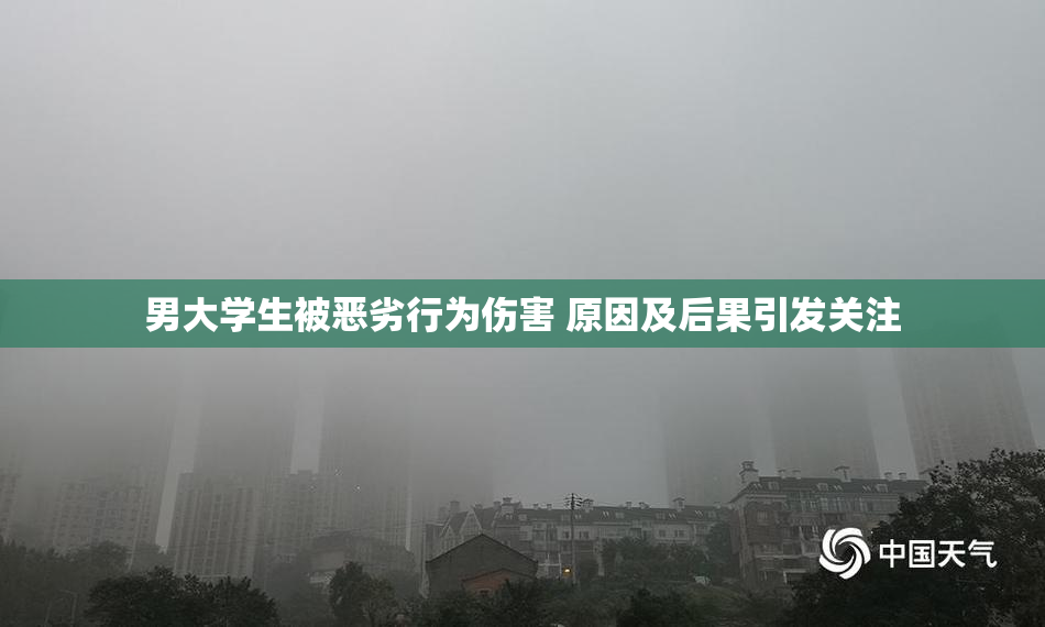 男大学生被恶劣行为伤害 原因及后果引发关注