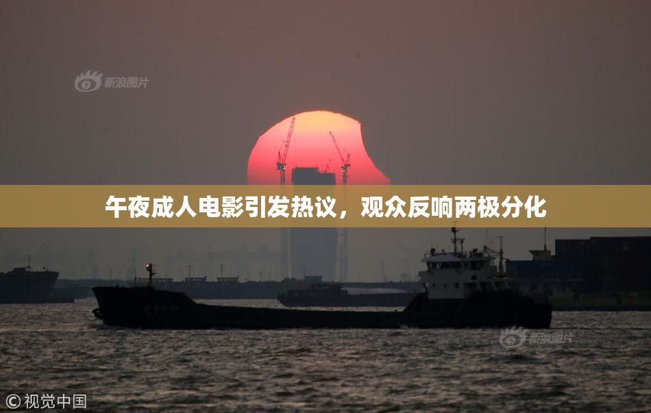 午夜成人电影引发热议，观众反响两极分化