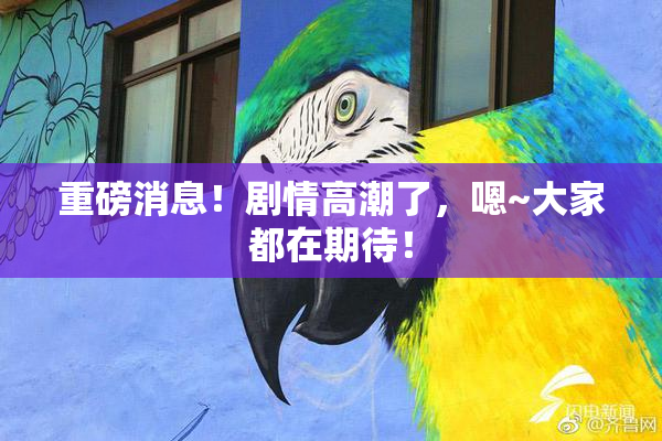 重磅消息！剧情高潮了，嗯~大家都在期待！