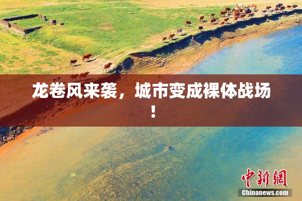 龙卷风来袭，城市变成裸体战场！