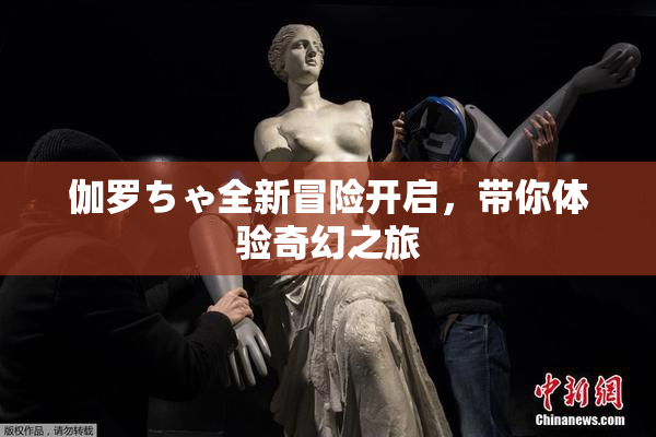 伽罗ちゃ全新冒险开启，带你体验奇幻之旅
