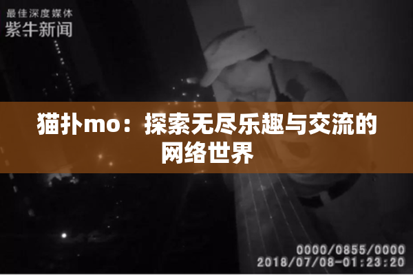 猫扑mo：探索无尽乐趣与交流的网络世界