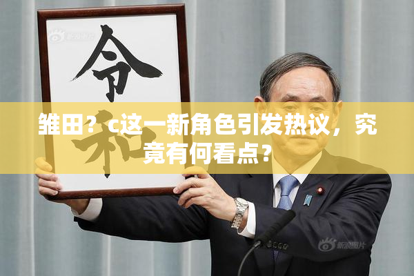 雏田？c这一新角色引发热议，究竟有何看点？