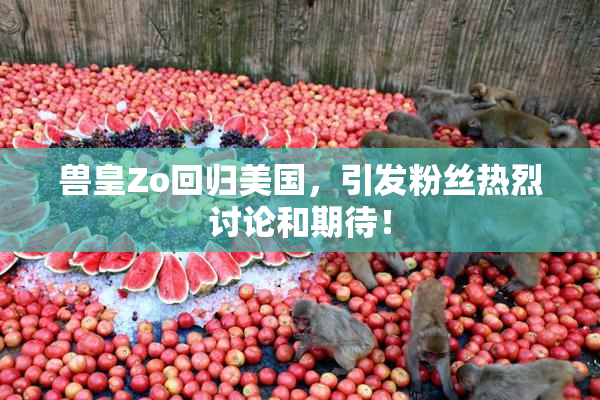 兽皇Zo回归美国，引发粉丝热烈讨论和期待！