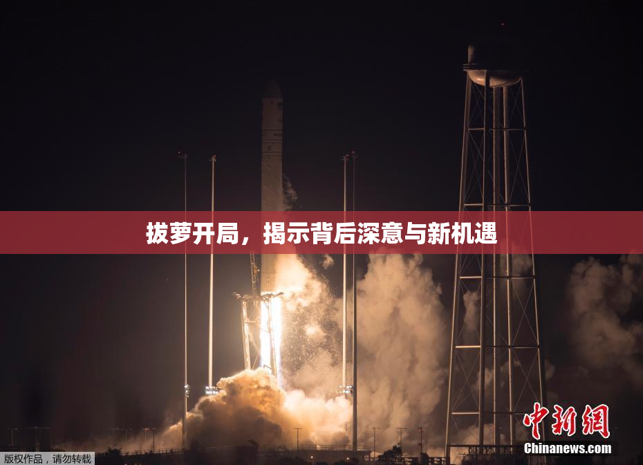 拔萝开局，揭示背后深意与新机遇