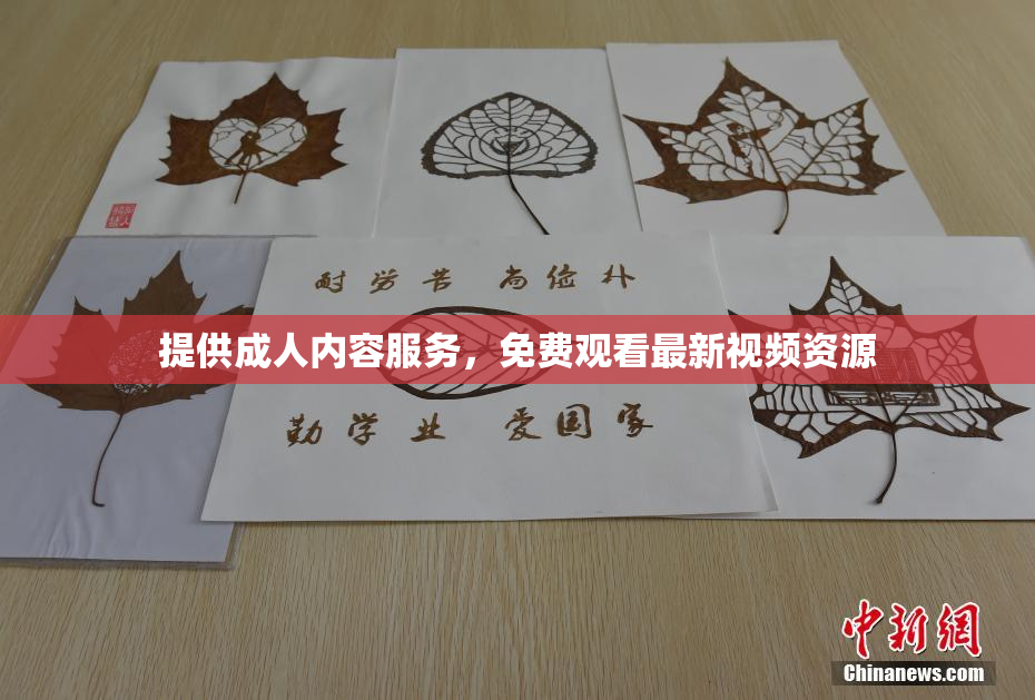提供成人内容服务，免费观看最新视频资源