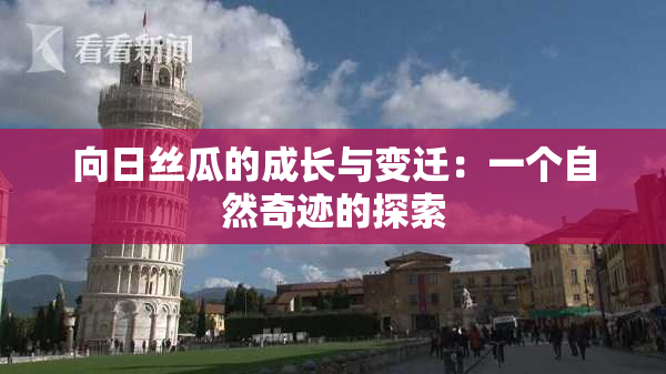 向日丝瓜的成长与变迁：一个自然奇迹的探索