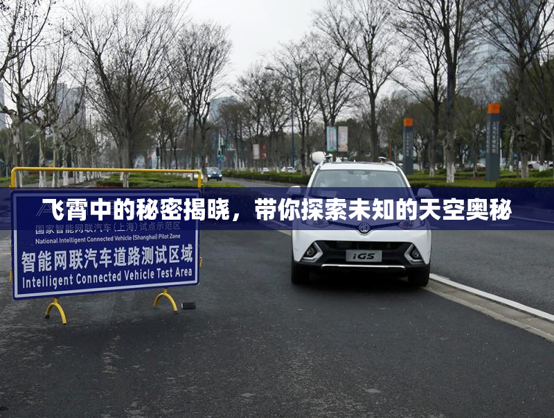飞霄中的秘密揭晓，带你探索未知的天空奥秘
