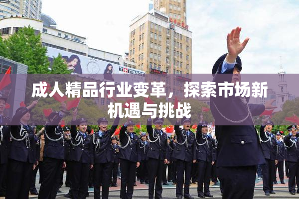 成人精品行业变革，探索市场新机遇与挑战