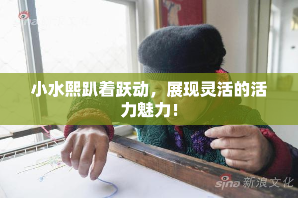 小水熙趴着跃动，展现灵活的活力魅力！