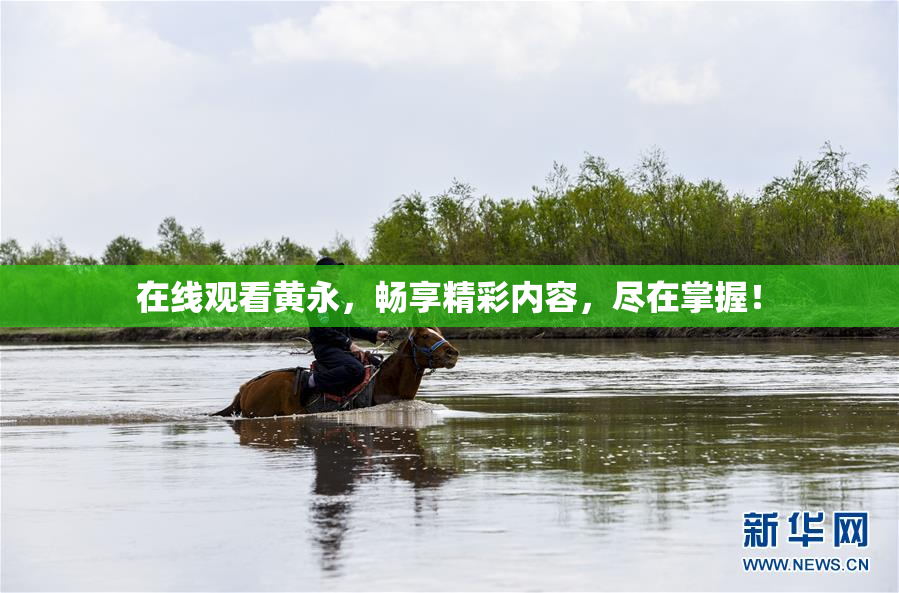 在线观看黄永，畅享精彩内容，尽在掌握！