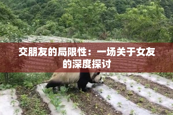 交朋友的局限性：一场关于女友的深度探讨