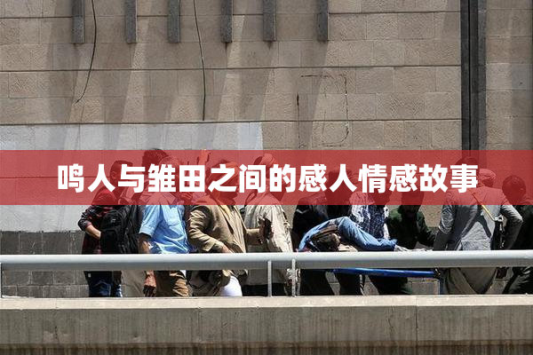 鸣人与雏田之间的感人情感故事