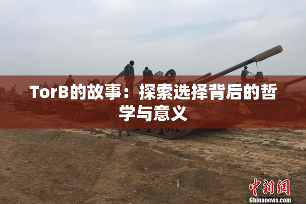 TorB的故事：探索选择背后的哲学与意义