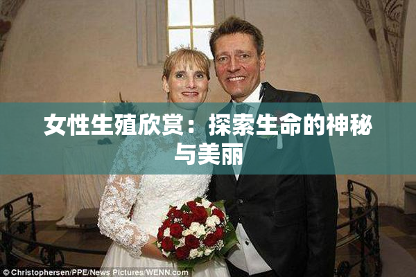 女性生殖欣赏：探索生命的神秘与美丽