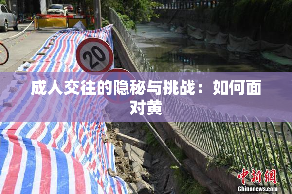 成人交往的隐秘与挑战：如何面对黄