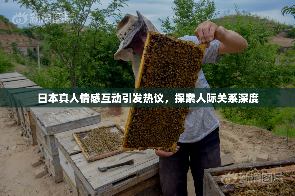 日本真人情感互动引发热议，探索人际关系深度
