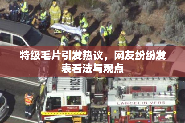 特级毛片引发热议，网友纷纷发表看法与观点