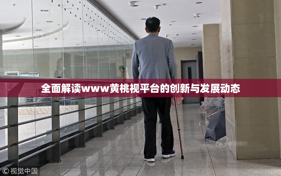 全面解读www黄桃视平台的创新与发展动态