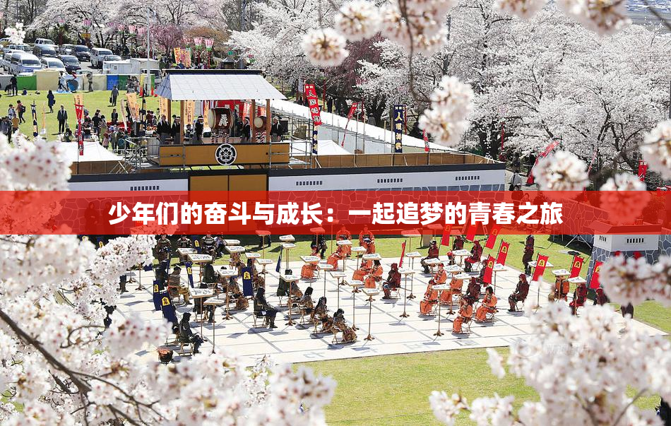 少年们的奋斗与成长：一起追梦的青春之旅