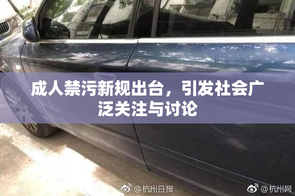 成人禁污新规出台，引发社会广泛关注与讨论