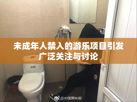 未成年人禁入的游乐项目引发广泛关注与讨论