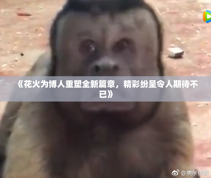 《花火为博人重塑全新篇章，精彩纷呈令人期待不已》