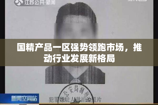 国精产品一区强势领跑市场，推动行业发展新格局