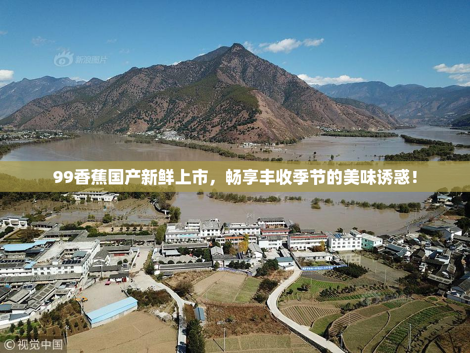 99香蕉国产新鲜上市，畅享丰收季节的美味诱惑！
