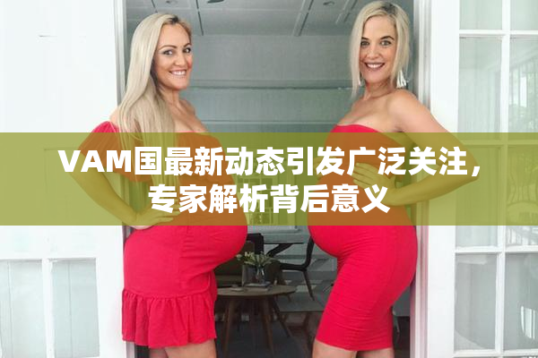 VAM国最新动态引发广泛关注，专家解析背后意义