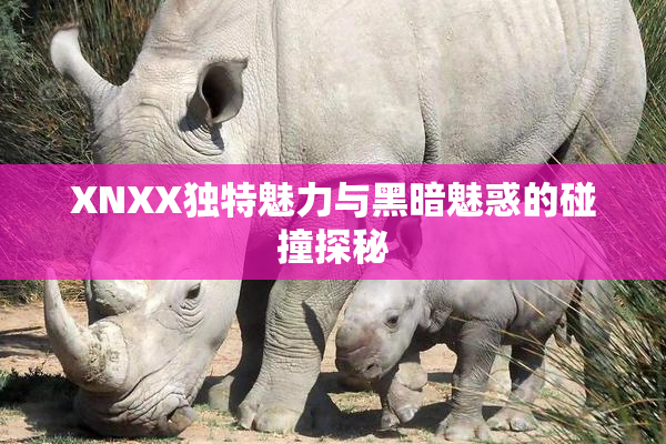 XNXX独特魅力与黑暗魅惑的碰撞探秘