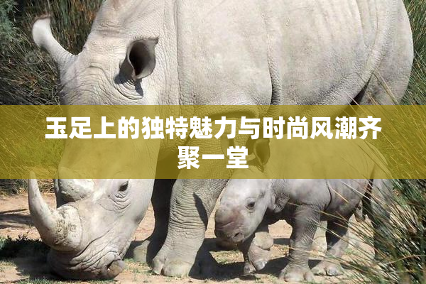 玉足上的独特魅力与时尚风潮齐聚一堂