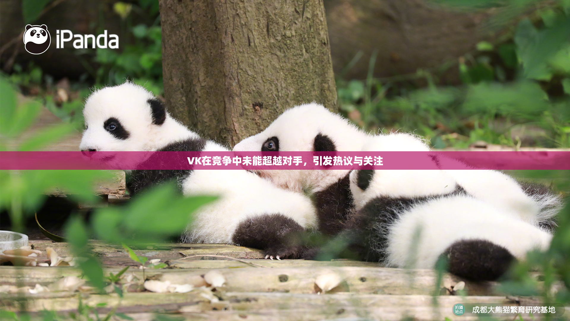 VK在竞争中未能超越对手，引发热议与关注