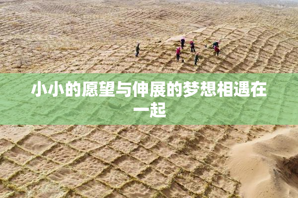 小小的愿望与伸展的梦想相遇在一起