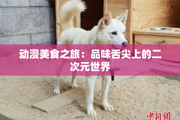 动漫美食之旅：品味舌尖上的二次元世界