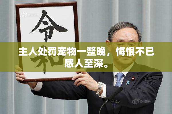 主人处罚宠物一整晚，悔恨不已感人至深。
