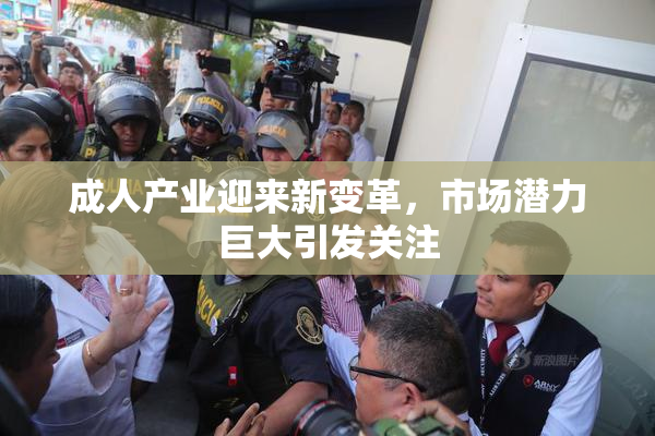 成人产业迎来新变革，市场潜力巨大引发关注