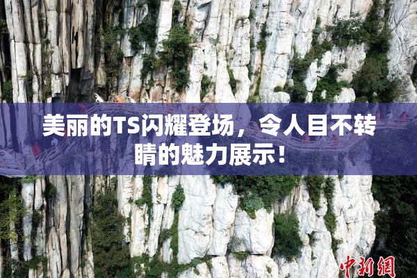 美丽的TS闪耀登场，令人目不转睛的魅力展示！