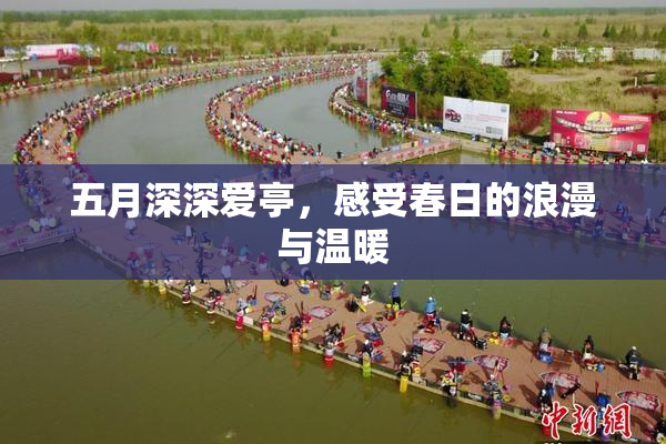 五月深深爱亭，感受春日的浪漫与温暖