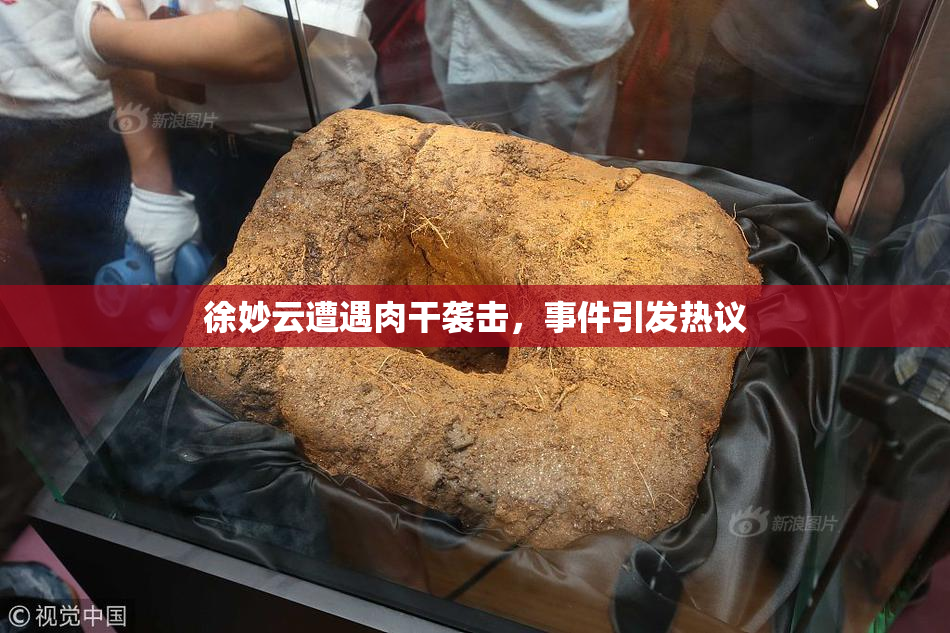 徐妙云遭遇肉干袭击，事件引发热议