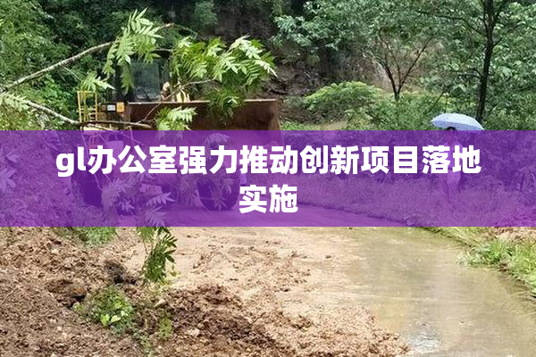 gl办公室强力推动创新项目落地实施