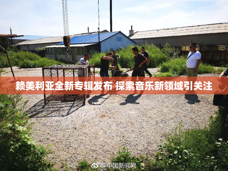 赖美利亚全新专辑发布 探索音乐新领域引关注