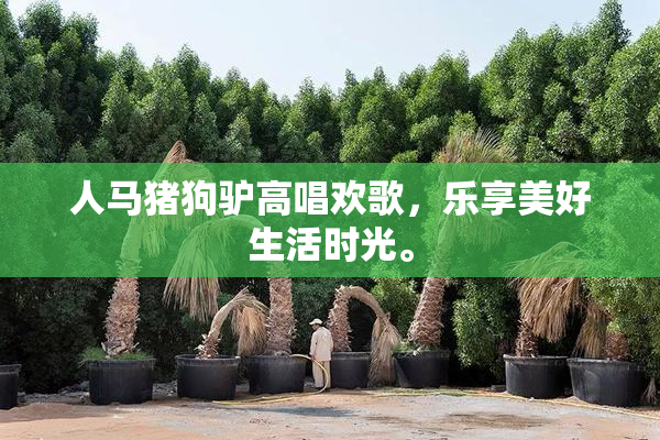 人马猪狗驴高唱欢歌，乐享美好生活时光。