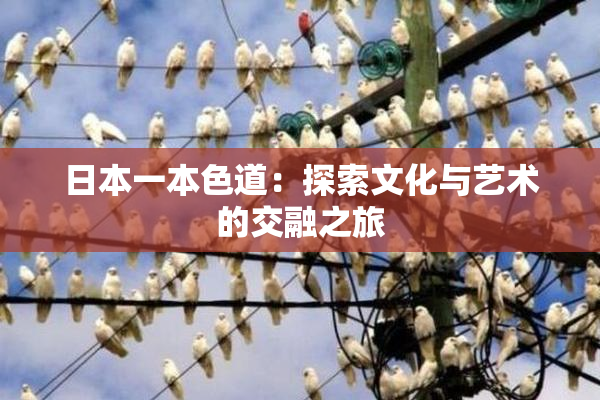 日本一本色道：探索文化与艺术的交融之旅