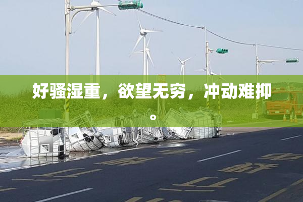 好骚湿重，欲望无穷，冲动难抑。