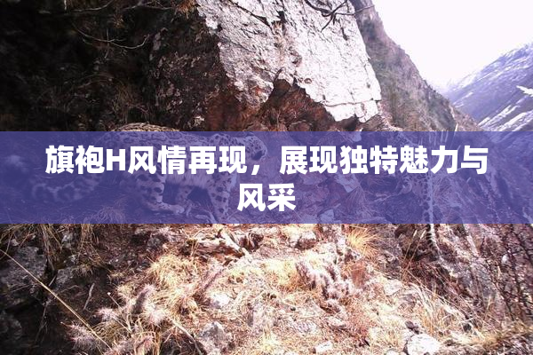 旗袍H风情再现，展现独特魅力与风采