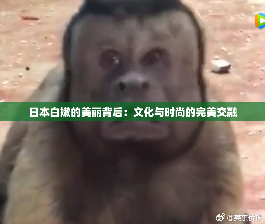 日本白嫩的美丽背后：文化与时尚的完美交融