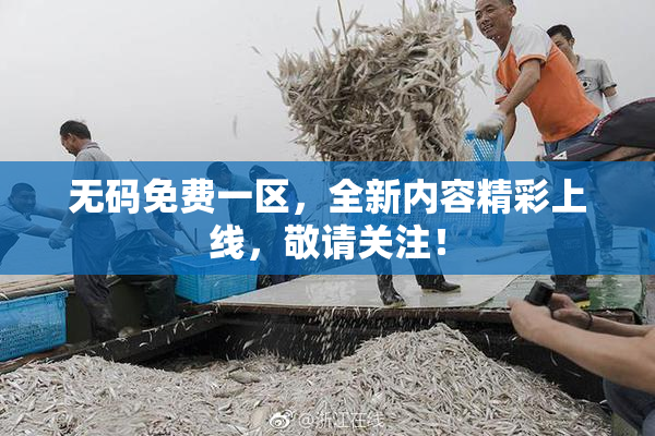 无码免费一区，全新内容精彩上线，敬请关注！